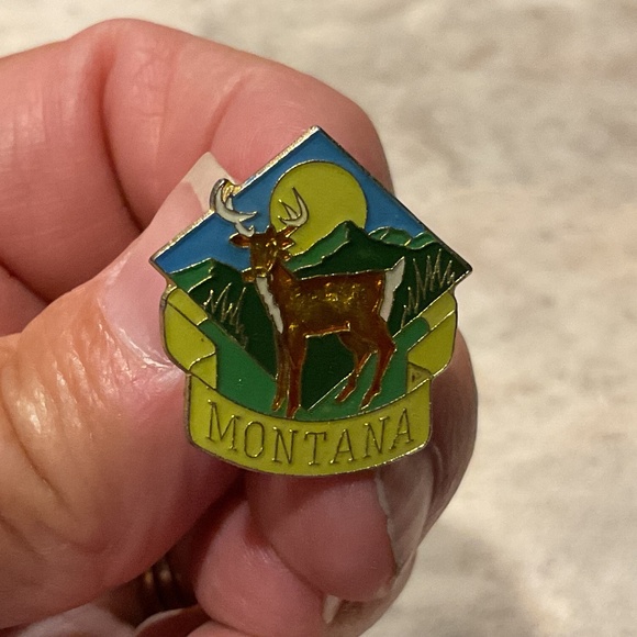 Montana Enameled Tac Pin Vintage - Picture 1 of 7